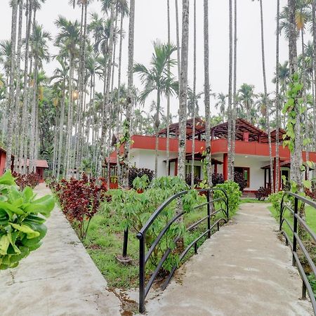 Ezzenza Areca Resort Madikeri Kültér fotó