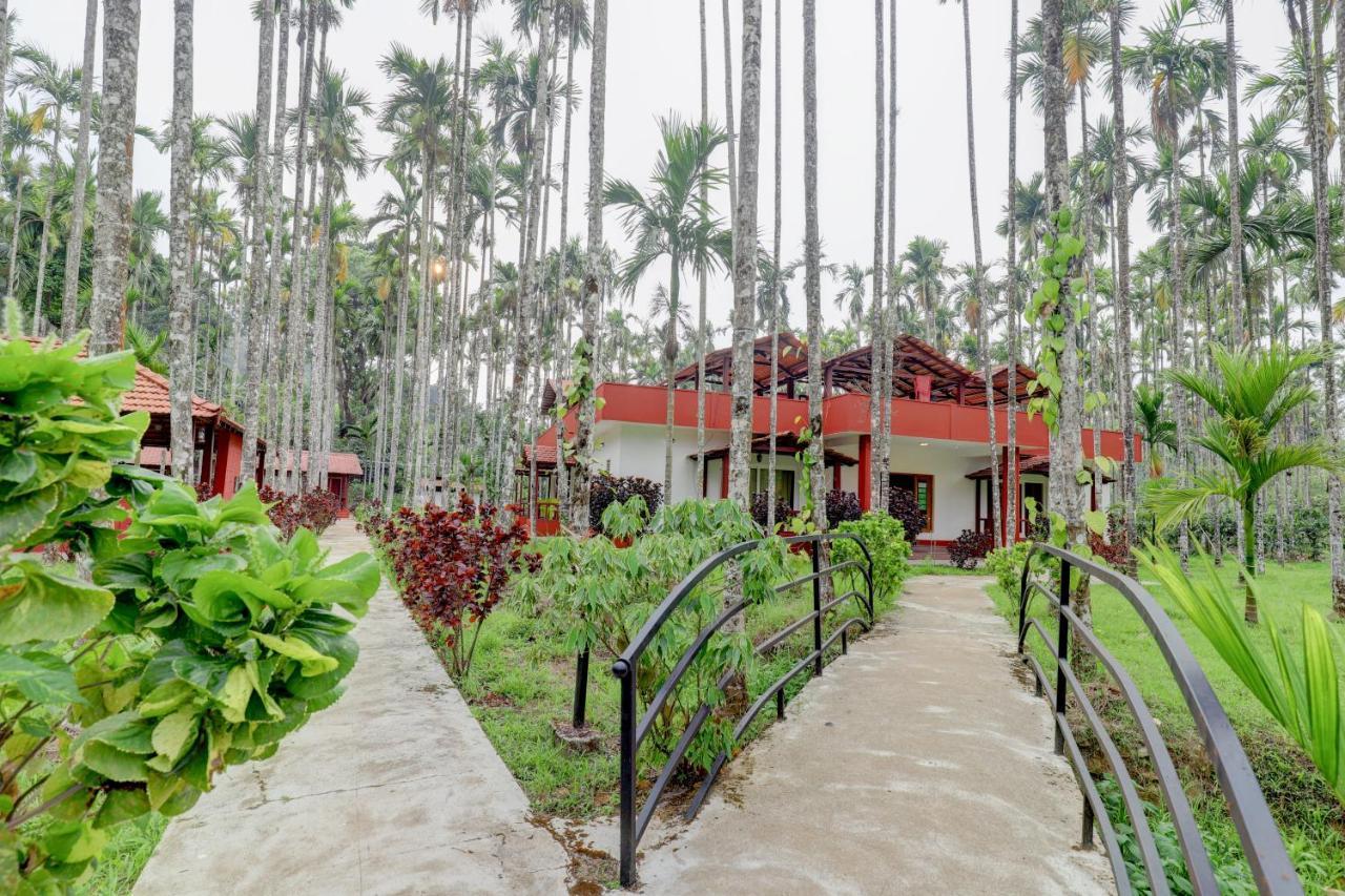 Ezzenza Areca Resort Madikeri Kültér fotó