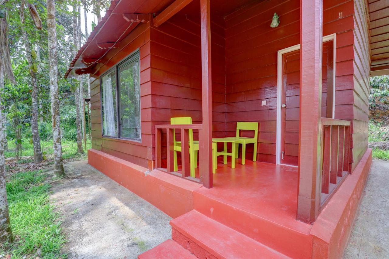 Ezzenza Areca Resort Madikeri Kültér fotó